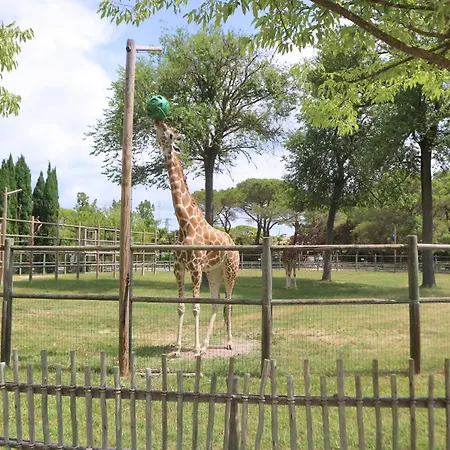 Patrizia アパート